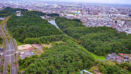 池の周囲に広がる与兵衛沼公園、奥が枡江の森