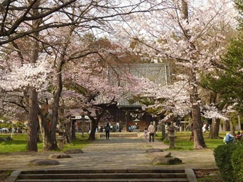 仁王門を抜けると国指定の重要文化財である陸奥国分寺薬師堂がある