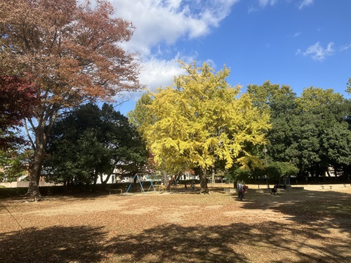 木ノ下公園は子どもたちの遊び場