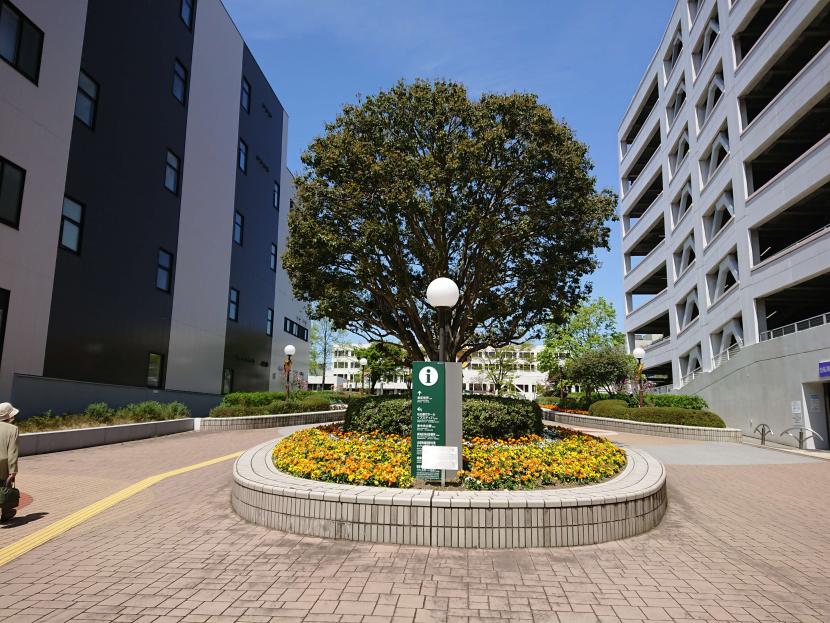 駅前に彩りを添える(撮影:結城春惺)