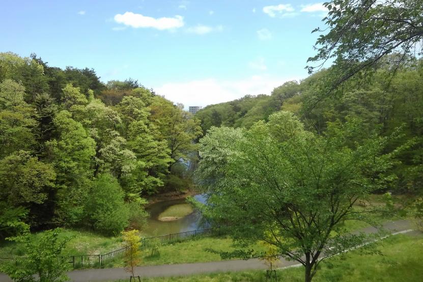 初夏の将監風致公園(撮影:田中宏樹)