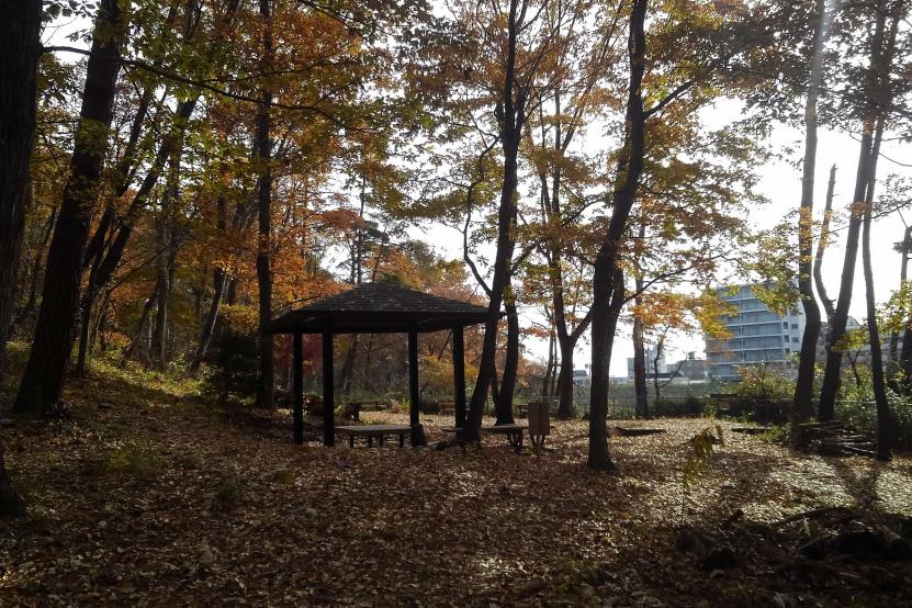 あずまやで一休み(撮影:田中宏樹)