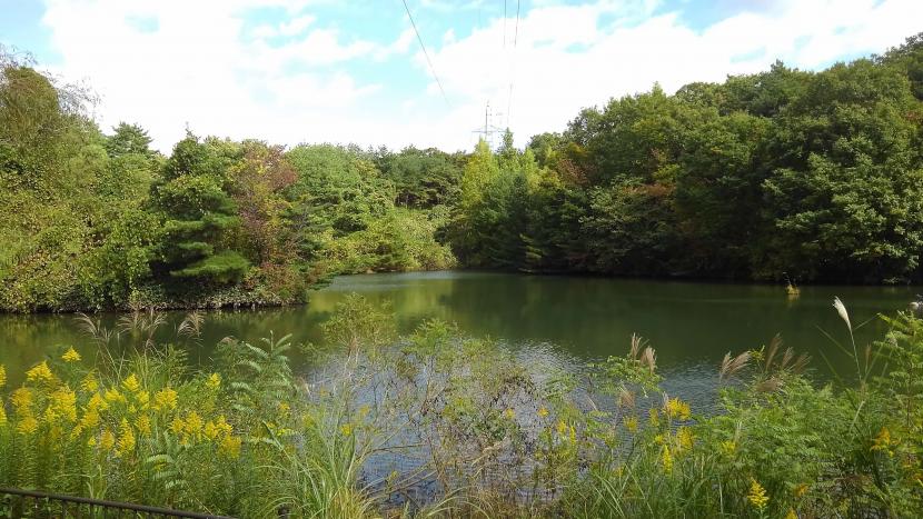 桂島緑地水と緑が一体となった風景を楽しめる(撮影:田中宏樹)