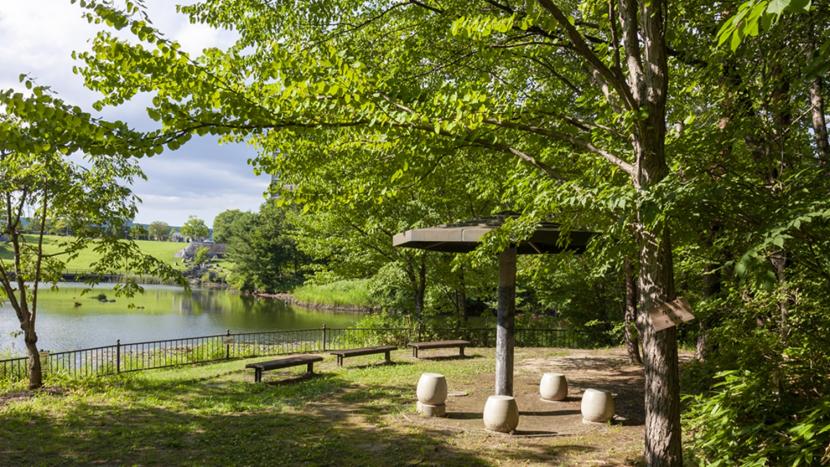 ベンチ等もある