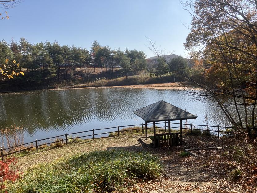 沼岸のあずまや