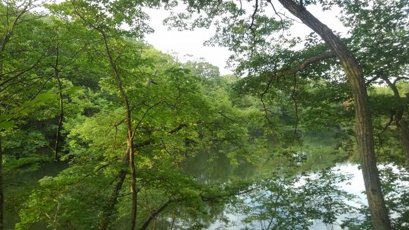 初夏(撮影:田中宏樹)