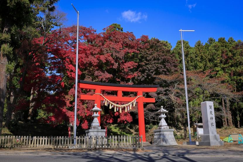 鳥居を引き立てる紅葉