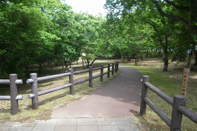 住宅地の貴重な緑(撮影:島田彰久)