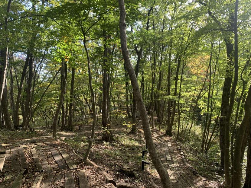 遊歩道「書見の道」