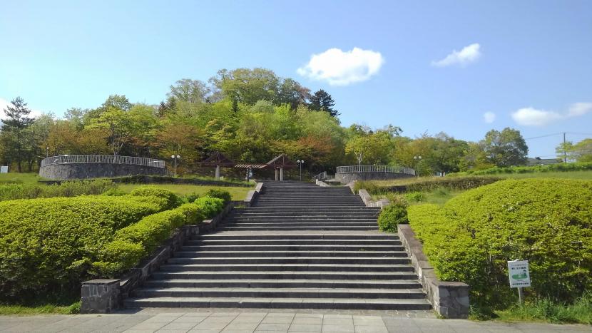 緑あふれる公園(撮影:田中宏樹)