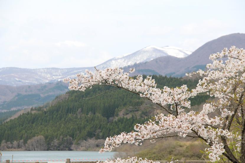 山々の緑と湖水が調和した雄大な風景