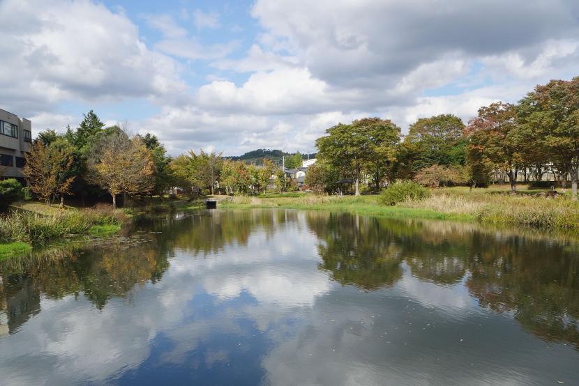 静かな水面に景色が映し出される「天沼」(撮影:河本悟)