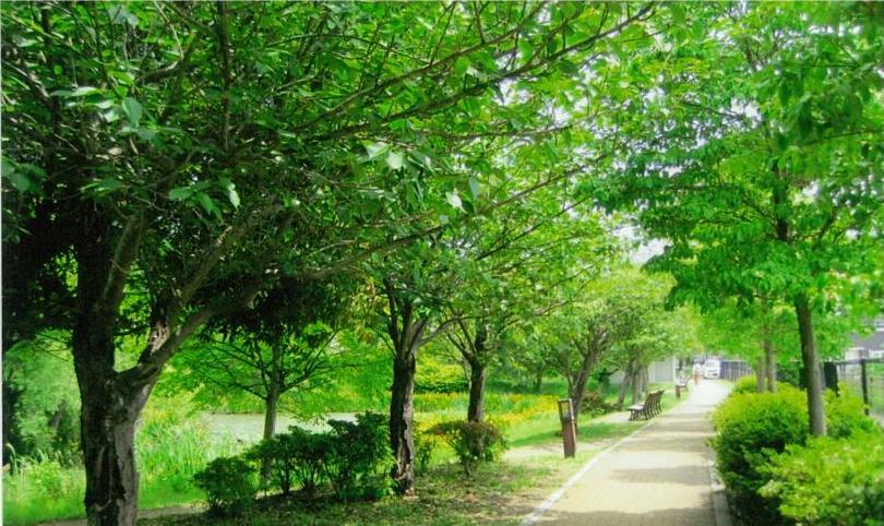 新緑が美しい園内（撮影：佐藤邦郎）