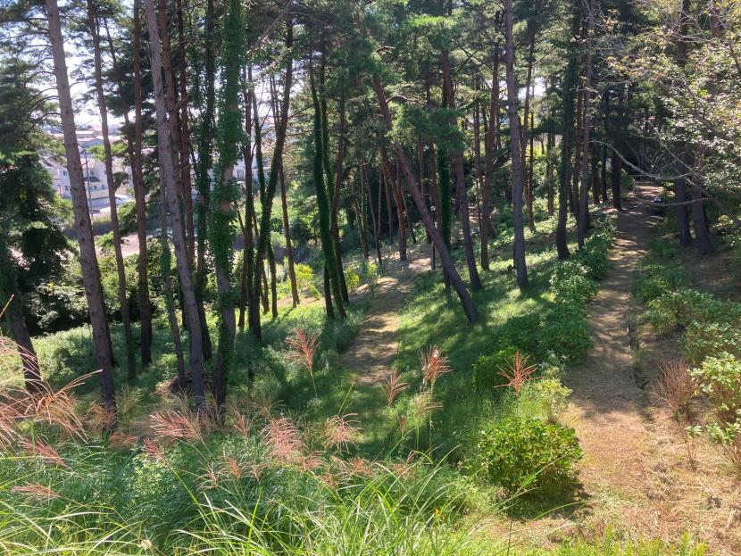 住宅地の貴重な緑