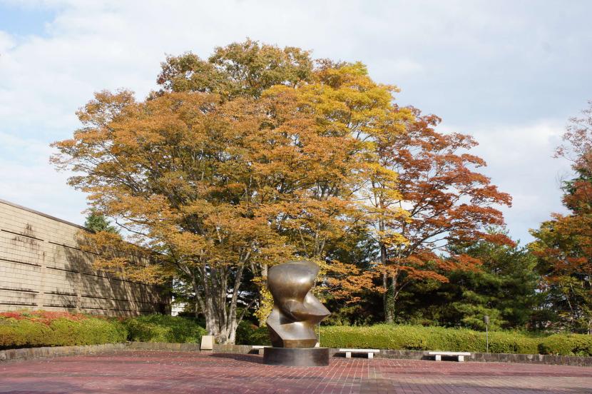 美術館の彫刻とケヤキ（撮影:佐藤奈緒子）