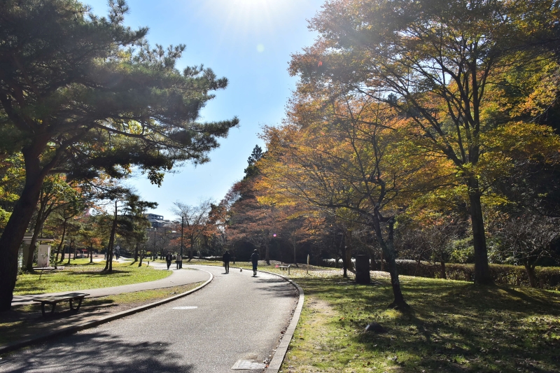 広々とした園路(撮影:阿部篤)