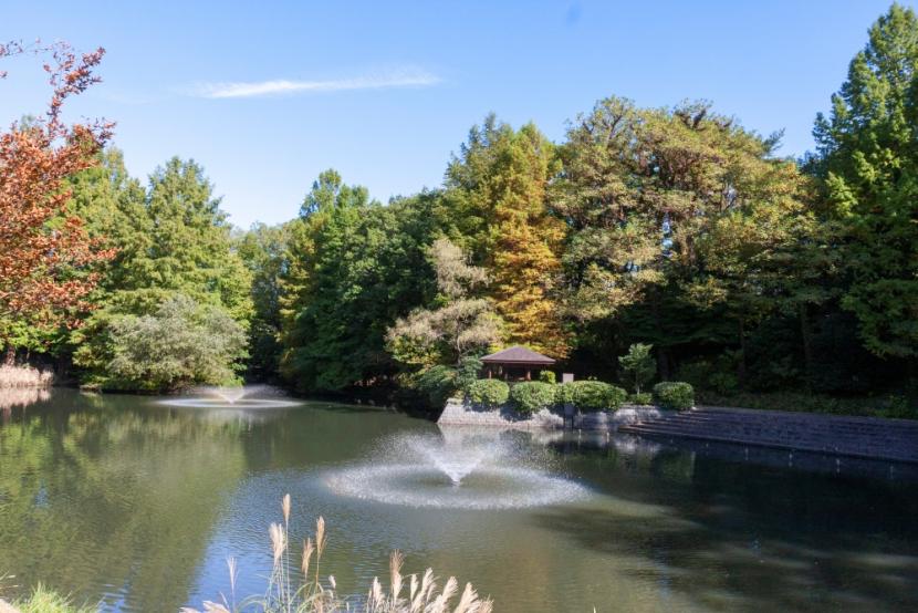広々とした水辺の風景を楽しめる