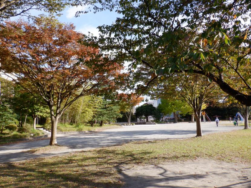紅葉の風景が美しい