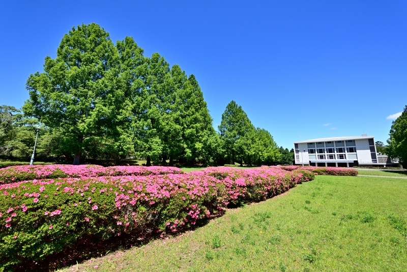 東北大学百周年記念会館川内萩ホール前