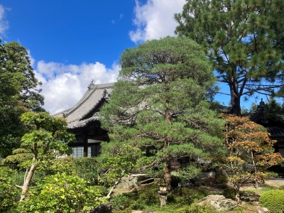 光明寺の庭園