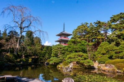秋の輪王寺庭園