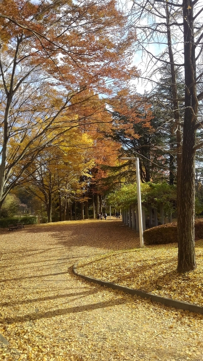 駅に続く公園の園路（撮影:田中宏樹）