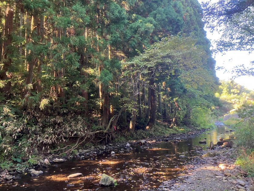 里山と水の流れ