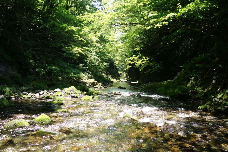 木漏れ日と澄みきった水、巨石群が自然の豊かさを象徴する（撮影：菅原正徳）