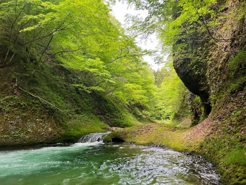 綺麗な川は神秘の景観（撮影：石出慎一郎）