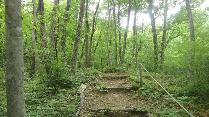 山野草公園（撮影：田中宏樹）
