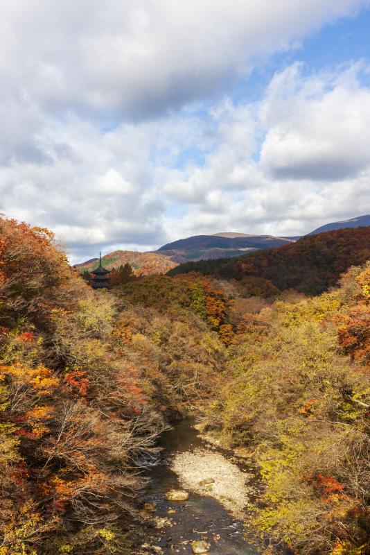 紅葉の頃
