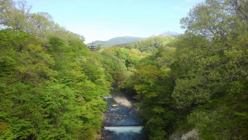 上流側の風景　五重塔が顔をのぞかせる（撮影：田中宏樹）