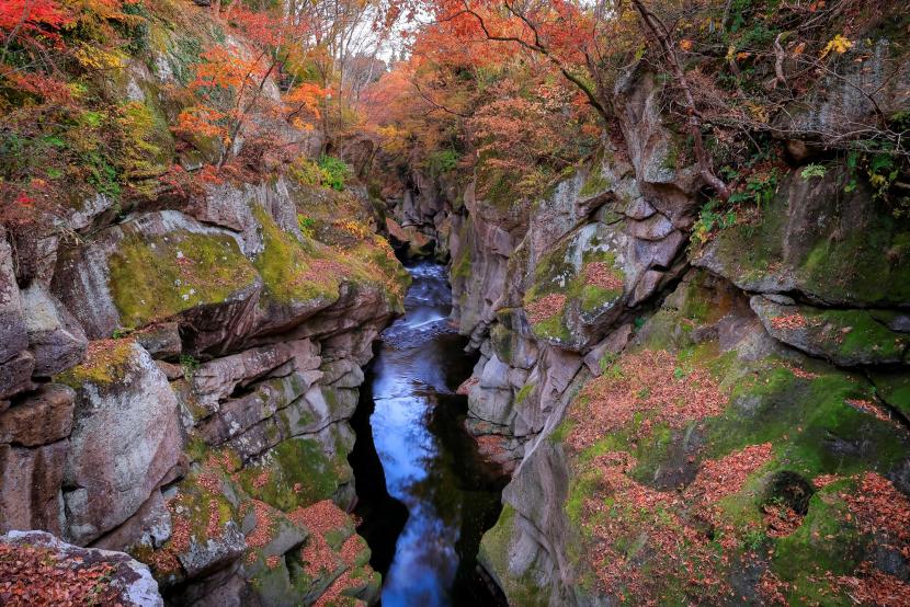 紅葉の時期