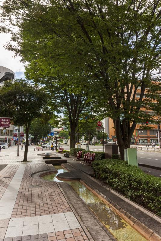 広々とした歩道
