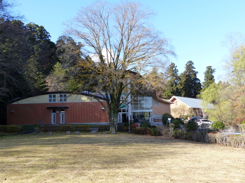 植物園本館とハルニレの大木