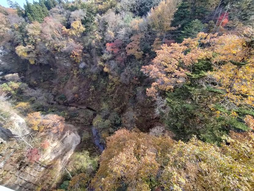空から見た峡谷（撮影：赤間学）