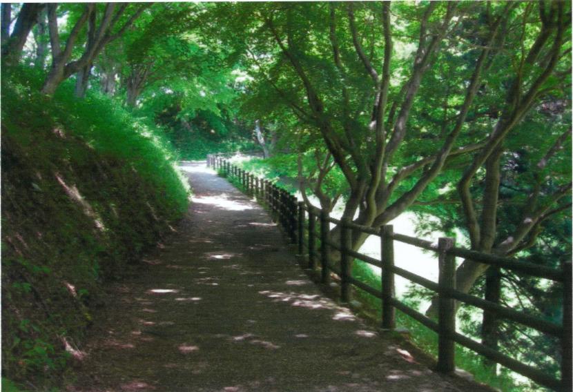 本丸跡に向かう登城路