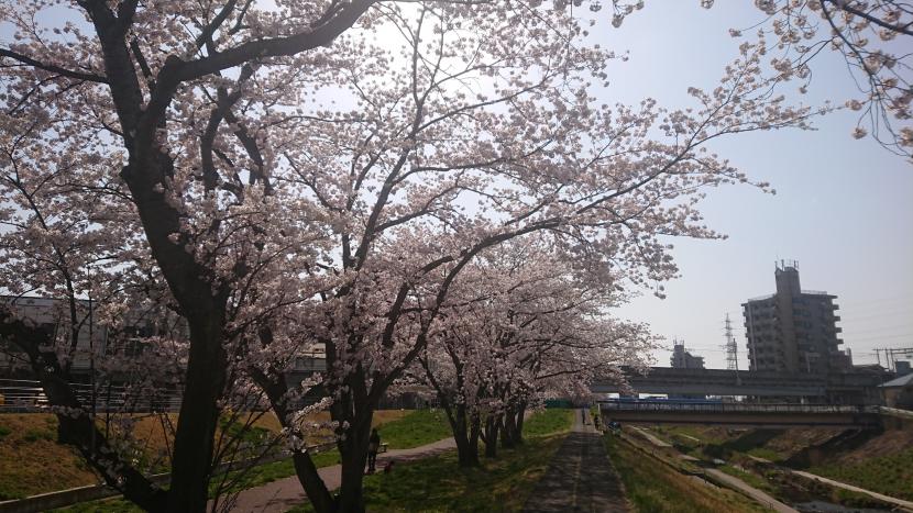 川沿いの散歩道