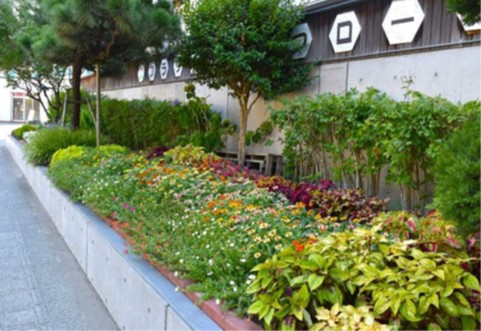 7年度学校の部最優秀賞花壇写真