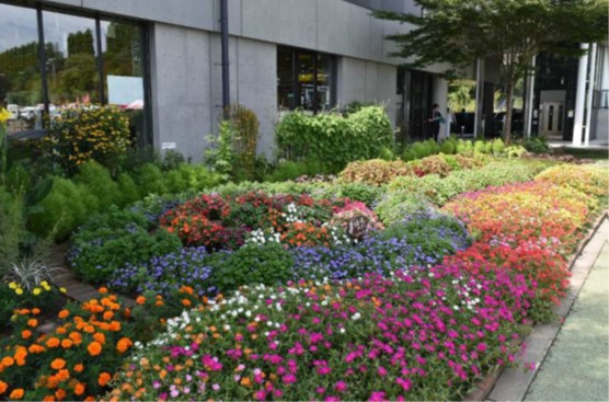 7年度地域の部最優秀賞花壇写真