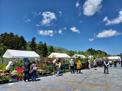 昨年度の植木市の様子