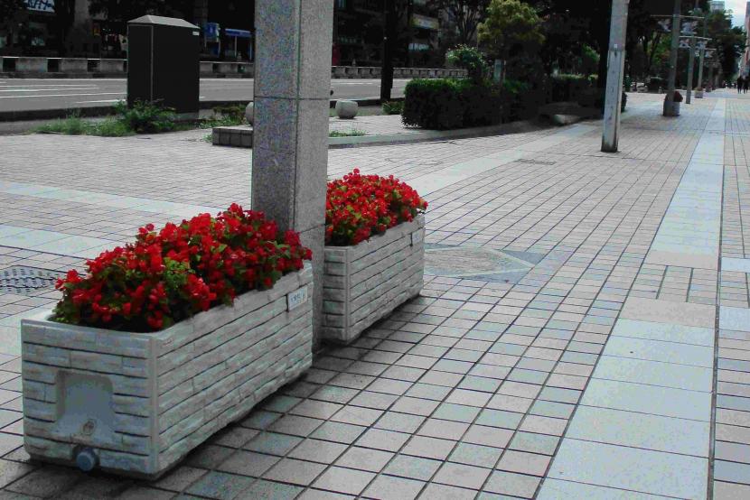 宮城野通プランター