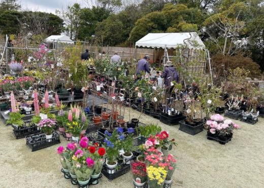 第76回杜の都づくり「春の植木市」の様子