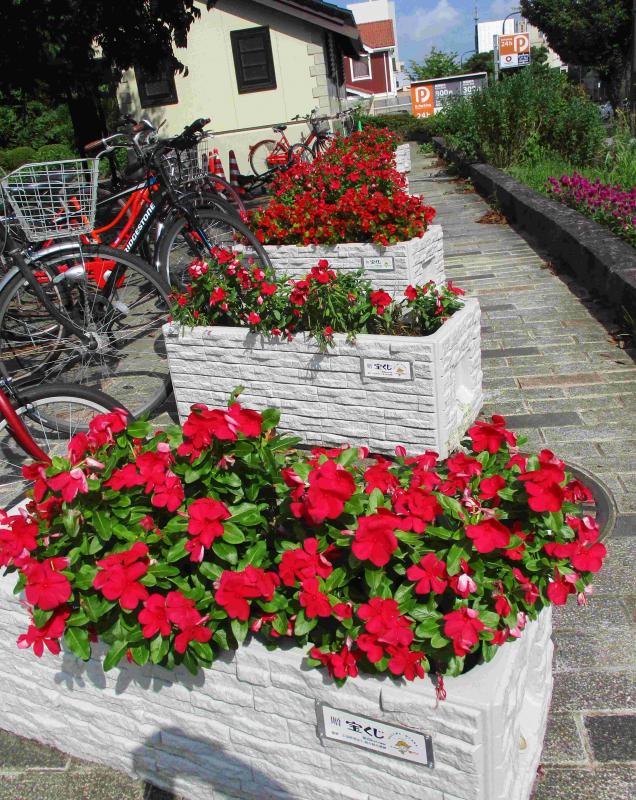 榴岡公園プランター