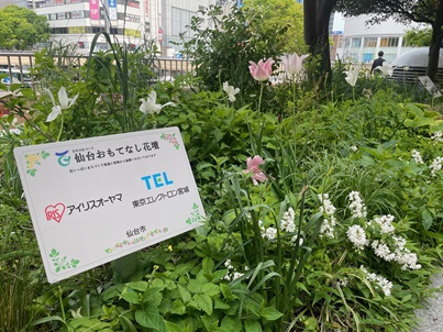 R7仙台駅花壇_低1