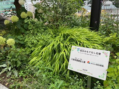 R7仙台駅花壇_低2