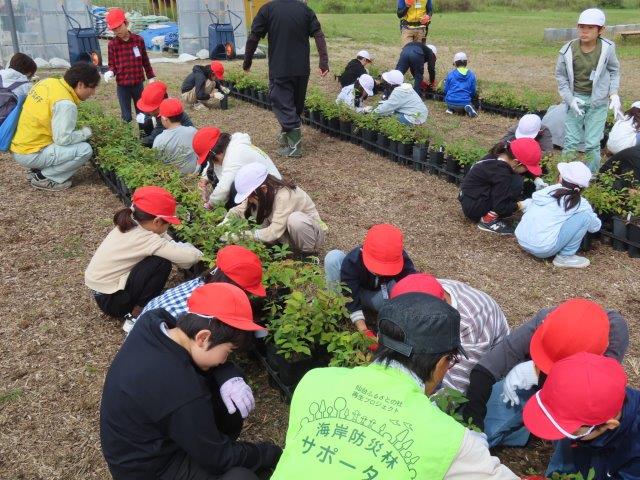 小学生苗木づくり