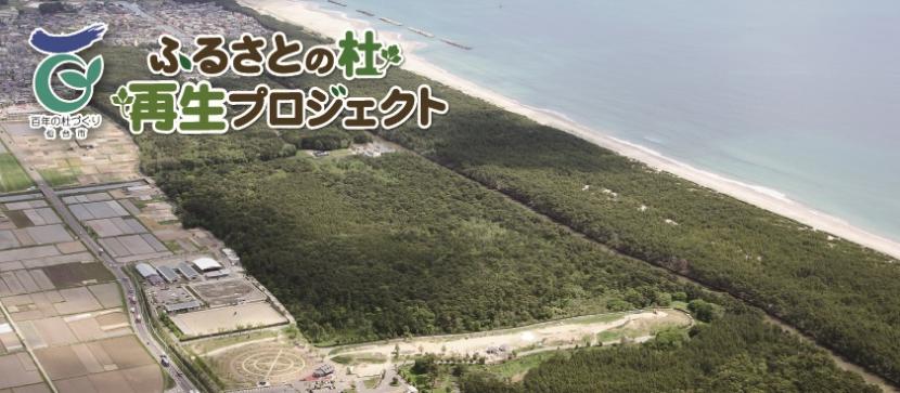 ふるさとの杜再生プロジェクトのイメージ画像：被災前の海岸防災林