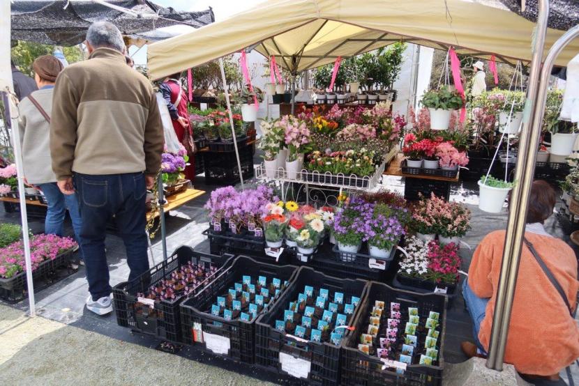 R08植木市の様子（花鉢販売の様子）