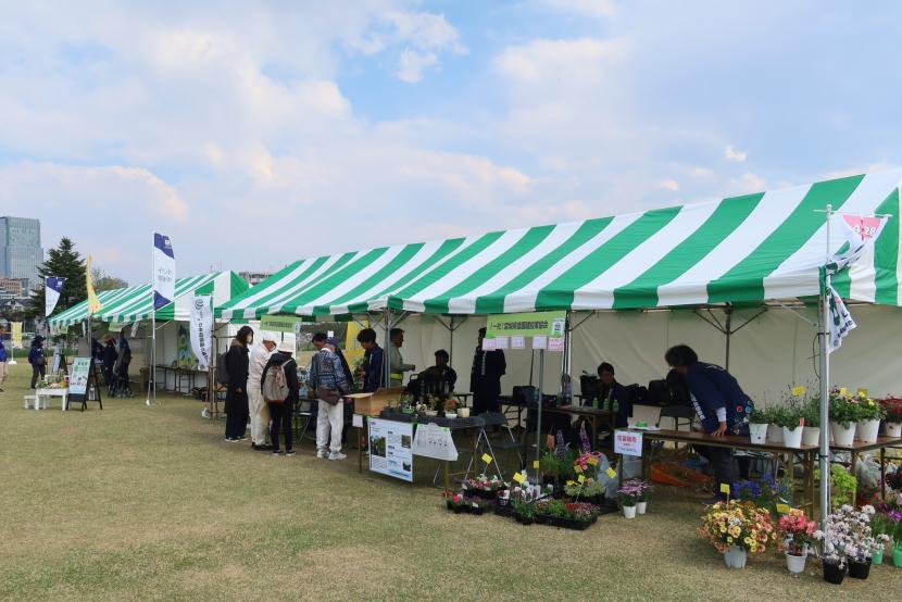 新緑祭出展ブースの様子